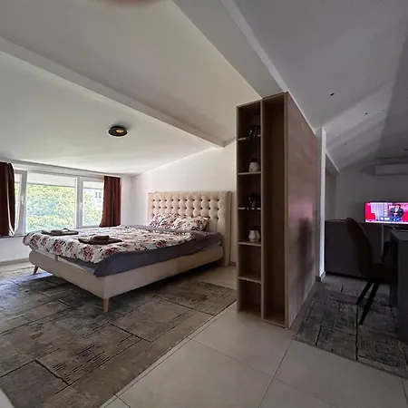 Anton Lux Apartment *