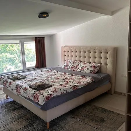 Apartment Anton Lux